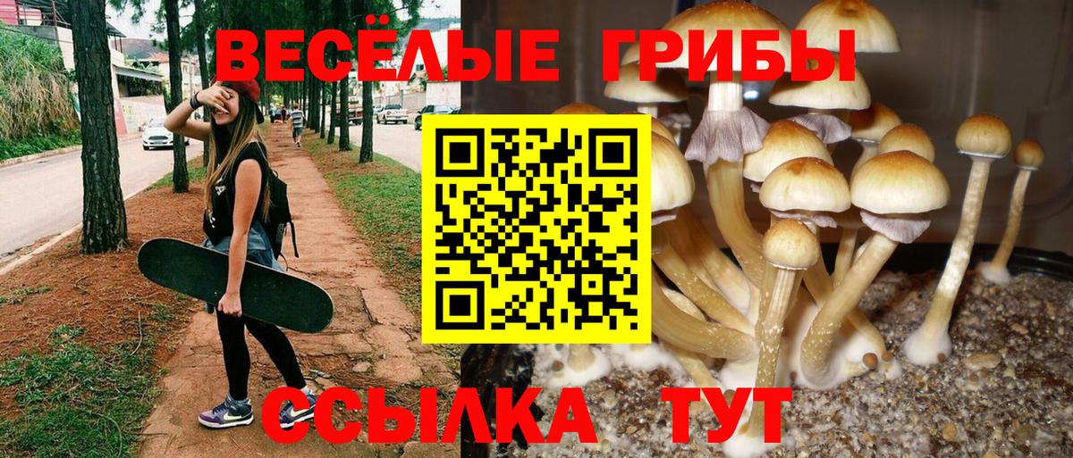 Галлюциногенные грибы ЛСД  Вход с VPN  купить наркоту  Когалым 
