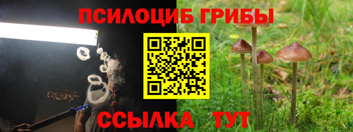 Галлюциногенные грибы MAGIC MUSHROOMS Когалым